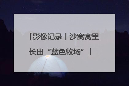影像记录丨沙窝窝里长出“蓝色牧场”