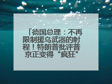 德国总理：不再限制援乌武器的射程！特朗普批评普京正变得“疯狂”，俄方最新回应