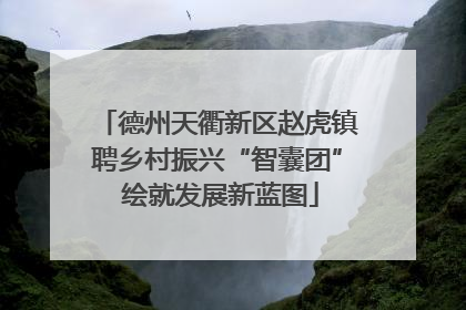 德州天衢新区赵虎镇聘乡村振兴“智囊团” 绘就发展新蓝图