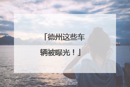 德州这些车辆被曝光！