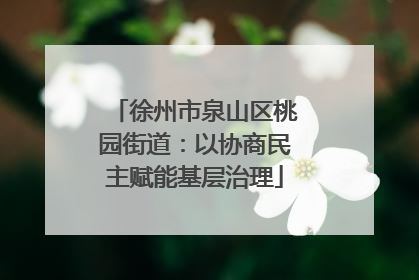 徐州市泉山区桃园街道：以协商民主赋能基层治理