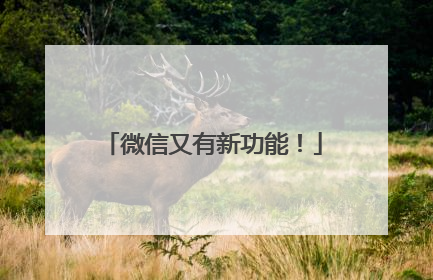微信又有新功能！
