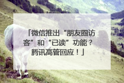 微信推出“朋友圈访客”和“已读”功能？腾讯高管回应！