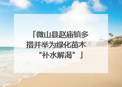 微山县赵庙镇多措并举为绿化苗木“补水解渴”