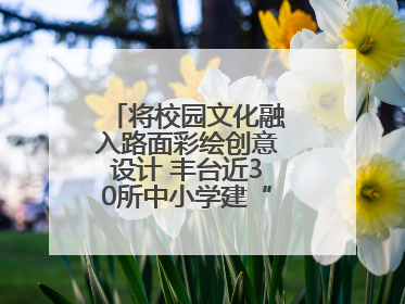将校园文化融入路面彩绘创意设计 丰台近30所中小学建“彩色学安路”
