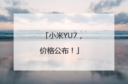 小米YU7，价格公布！