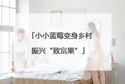 小小蓝莓变身乡村振兴“致富果”