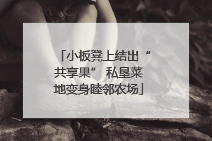 小板凳上结出“共享果” 私垦菜地变身睦邻农场