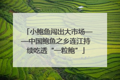 小鲍鱼闯出大市场——中国鲍鱼之乡连江持续吃透“一粒鲍”