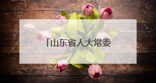 山东省人大常委会最新人事任免