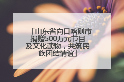 山东省向日喀则市捐赠500万元节目及文化读物，共筑民族团结情谊