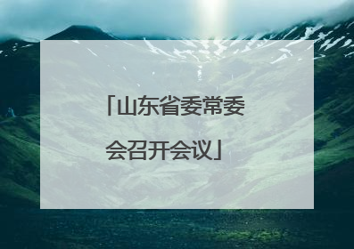 山东省委常委会召开会议
