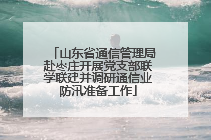 山东省通信管理局赴枣庄开展党支部联学联建并调研通信业防汛准备工作