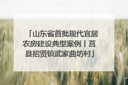 山东省首批现代宜居农房建设典型案例丨莒县招贤镇武家曲坊村