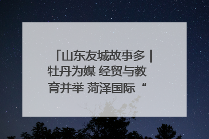 山东友城故事多｜牡丹为媒 经贸与教育并举 菏泽国际“朋友圈”扩容升级