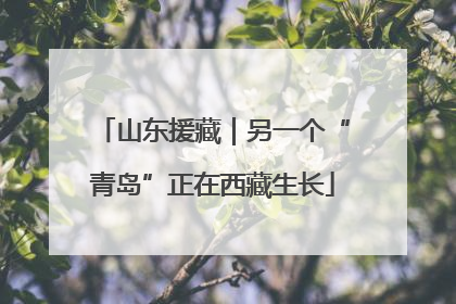 山东援藏｜另一个“青岛”正在西藏生长