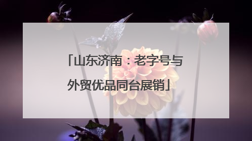 山东济南：老字号与外贸优品同台展销