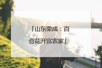 山东荣成：百合花开富农家