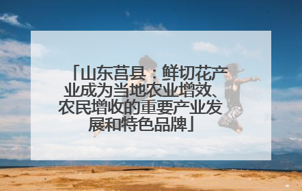 山东莒县：鲜切花产业成为当地农业增效、农民增收的重要产业发展和特色品牌