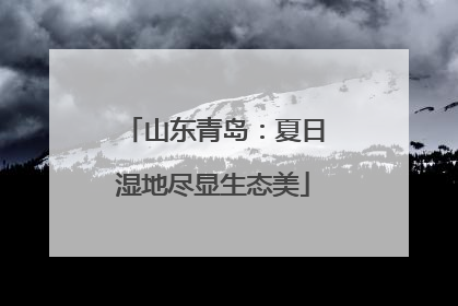 山东青岛：夏日湿地尽显生态美