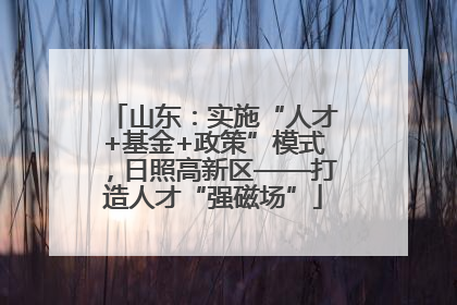 山东：实施“人才+基金+政策”模式，日照高新区——打造人才“强磁场”