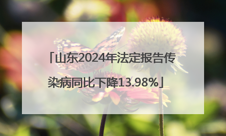 山东2024年法定报告传染病同比下降13.98%