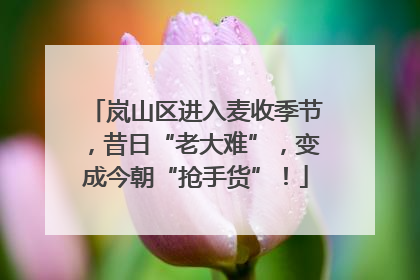 岚山区进入麦收季节，昔日“老大难”，变成今朝“抢手货”！