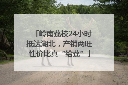 岭南荔枝24小时抵达湖北，产销两旺性价比真“给荔”