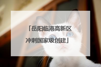 岳阳临港高新区冲刺国家级创建