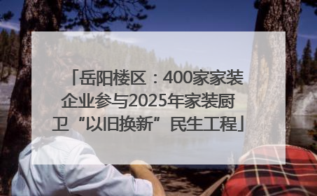 岳阳楼区：400家家装企业参与2025年家装厨卫“以旧换新”民生工程