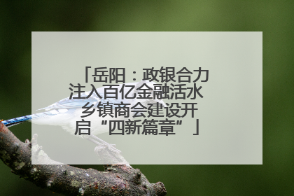 岳阳：政银合力注入百亿金融活水 乡镇商会建设开启“四新篇章”