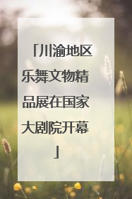 川渝地区乐舞文物精品展在国家大剧院开幕