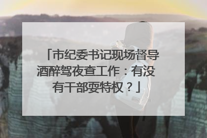 市纪委书记现场督导酒醉驾夜查工作：有没有干部耍特权？