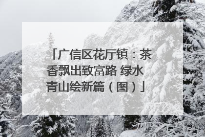 广信区花厅镇：茶香飘出致富路 绿水青山绘新篇（图）