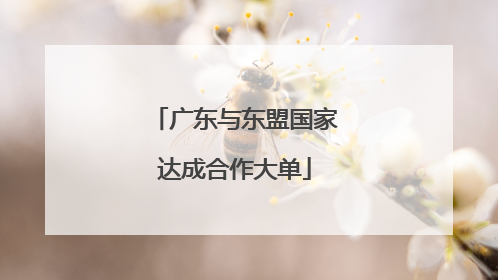 广东与东盟国家达成合作大单