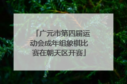 广元市第四届运动会成年组象棋比赛在朝天区开赛