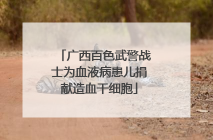 广西百色武警战士为血液病患儿捐献造血干细胞
