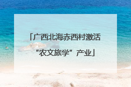 广西北海赤西村激活“农文旅学”产业