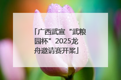 广西武宣“武粮园杯”2025龙舟邀请赛开桨