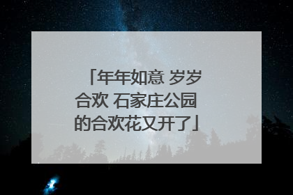 年年如意 岁岁合欢 石家庄公园的合欢花又开了