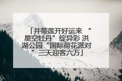 并蒂莲开好运来 “星空牡丹”绽异彩 洪湖公园“国际荷花派对”三天迎客六万