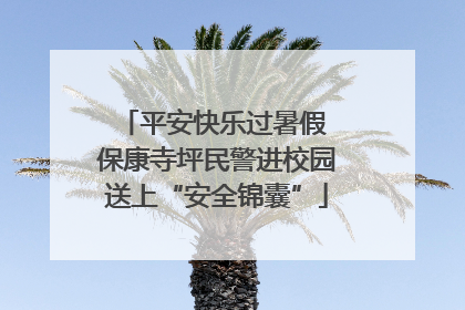平安快乐过暑假 保康寺坪民警进校园送上“安全锦囊”