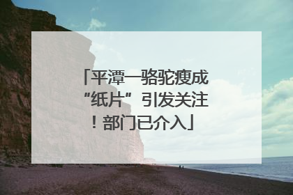 平潭一骆驼瘦成“纸片”引发关注！部门已介入
