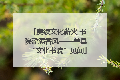 庚续文化薪火 书院盈满香风——单县“文化书院”见闻