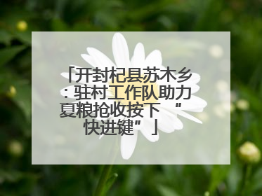 开封杞县苏木乡：驻村工作队助力夏粮抢收按下 “快进键”