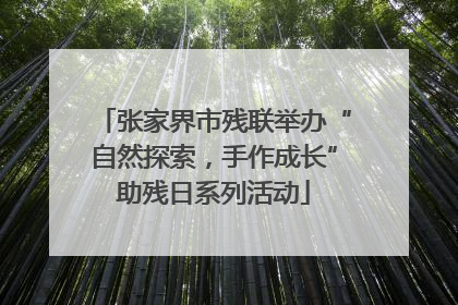 张家界市残联举办“自然探索，手作成长”助残日系列活动