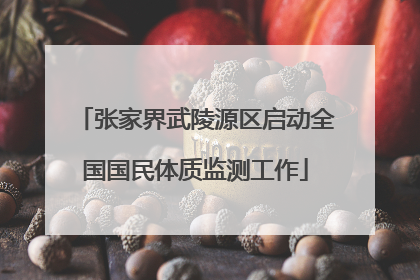 张家界武陵源区启动全国国民体质监测工作