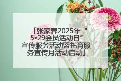 张家界2025年“5•29会员活动日”宣传服务活动暨托育服务宣传月活动启动