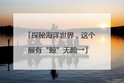 探秘海洋世界，这个展有“鲸”无险→