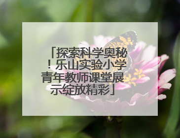 探索科学奥秘！乐山实验小学青年教师课堂展示绽放精彩